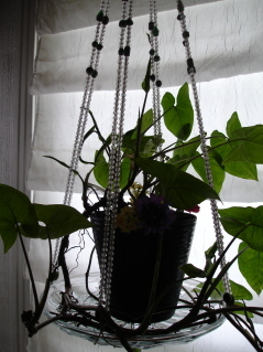 Beaded Plant Hanger....#2