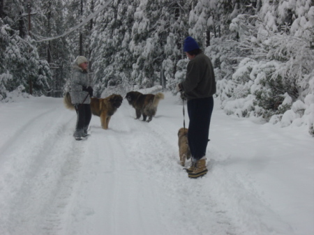 Winter in Mi Wuk Village, Ca