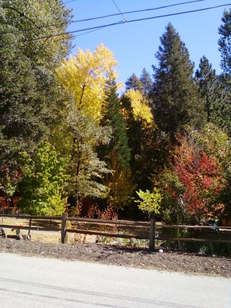 Autumn 2009