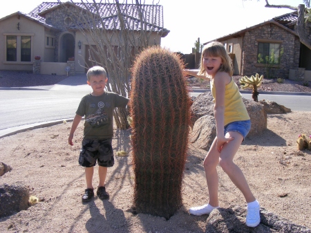 Hello Cactus - Emily and Blake