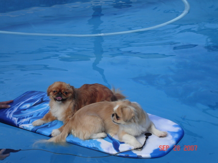 MADI AND BAXTER GETTING THEIR TAN ON.