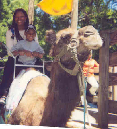 Riding a camel in NY!