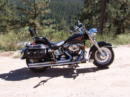 My Harley....up in the mountains of Colorado