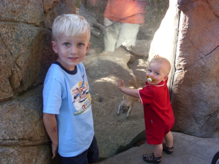 Our boys love meerkats just like Gramps