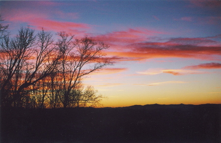 view from back yard