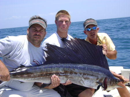 Sailfish pic