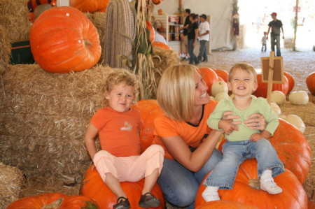 pumpkin patch2