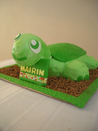 Mairin's Turtle