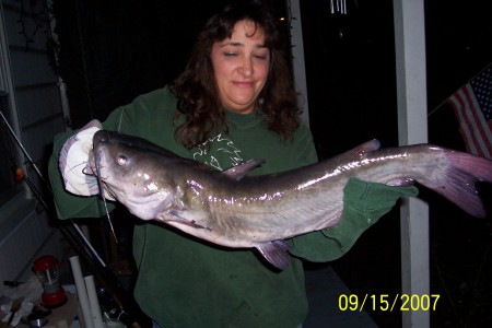 Catfish from a farm pond in Maryland