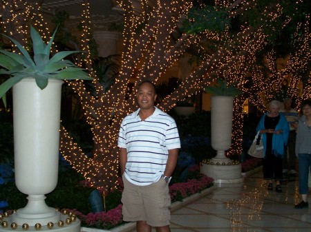 the Wynn Las Vegas, June 2008