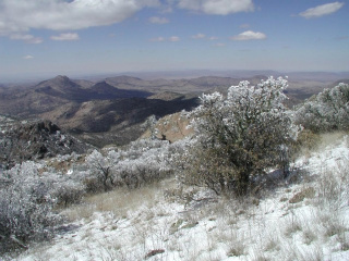 TX snowfall