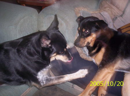 Sable and Dixie