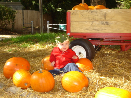 Colby at the Pumpkin Patch
