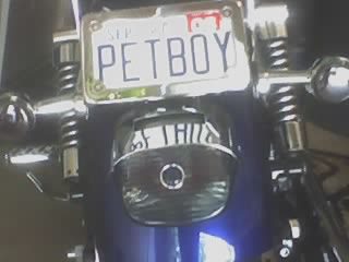 pet boy