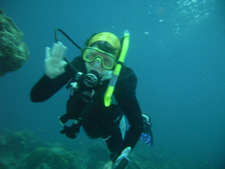Scuba Diving in Bonaire