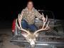 2009 Nevada Buck