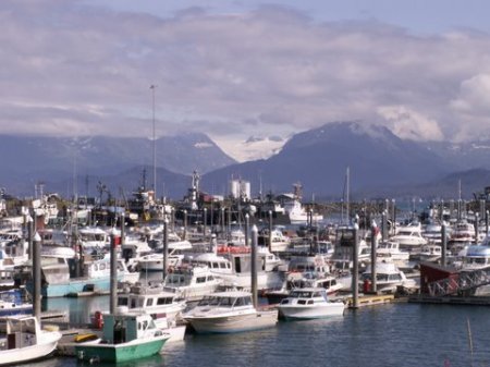 Fishing trip - Homer, Alaska!