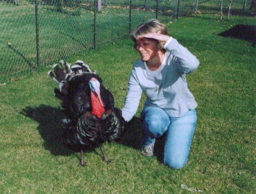 Me & my sister's pet turkey