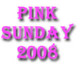 Pink Sunday 2008 - A Breast Cancer Fundraiser reunion event on Oct 26, 2008 image