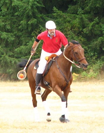 Polocrosse (lacrosse on horseback!)