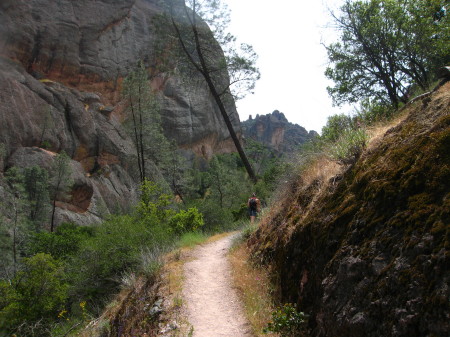 Pinnacles May 2010