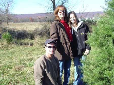 Christmas tree farm