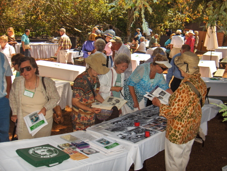 The "memory" table