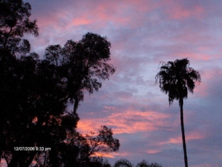 sunset in sarasota, florida