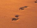 footprints in the sand, thk God for J-E-S-U-S!