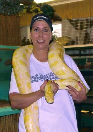 Baby the Burmese Python