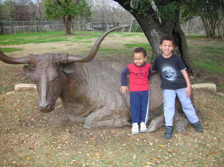 We are Longhorn Fans