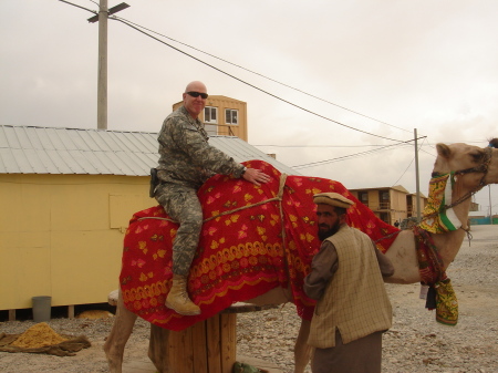 Camel Humping in Afghanistan