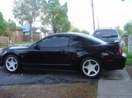 MUSTANG GT