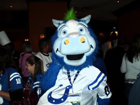 Colts mascot Blue