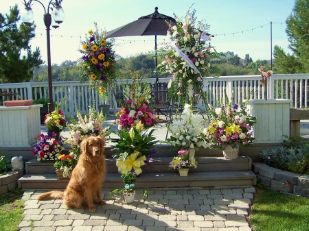 Kramer with the flowers from Carol's service