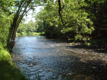 Ipswich River in Summer