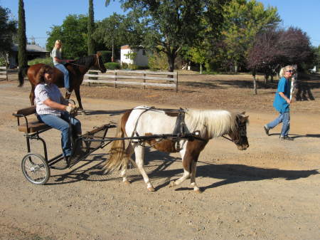 Driving Tehama