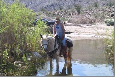 In the water with Smokey