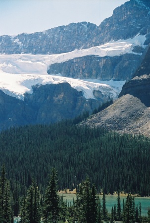 Glacier in Mnt. - Canadian Rockies