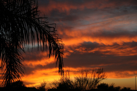 fall sunset in mesa arizona_1