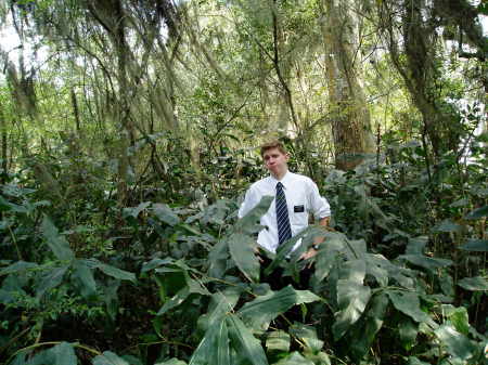 Jordan in the jungle
