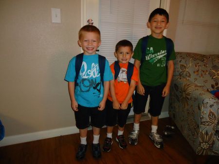 My 3 grandsons