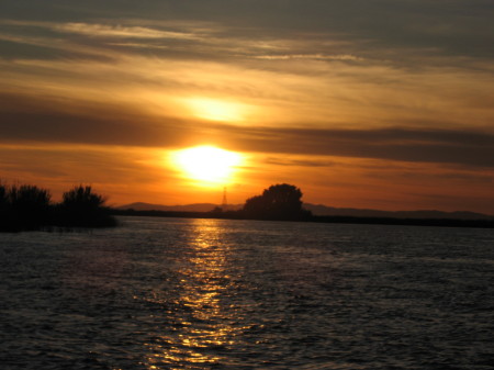 Sacramento River Delta Sunset