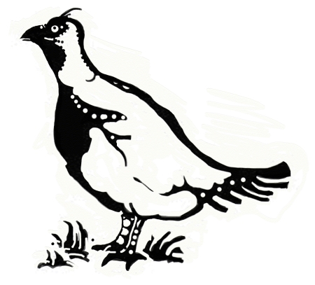 Spruce Grouse Icon