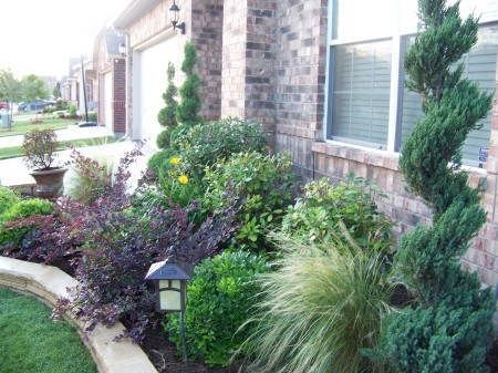Side view of the flower bed