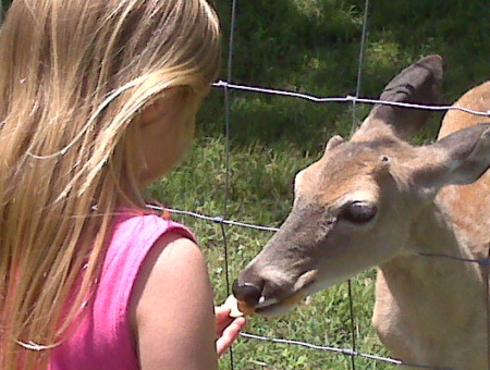 Meagan feeding the deer