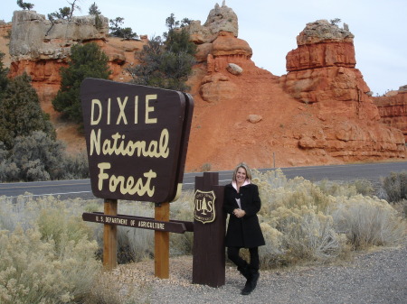 Bryce National Park