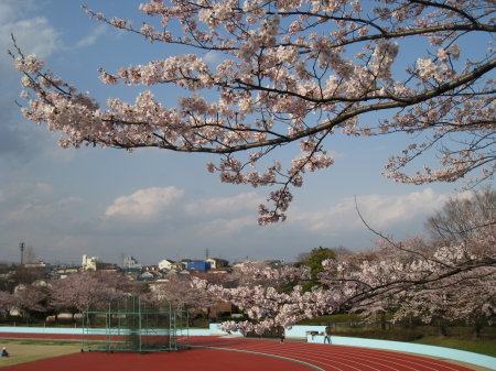 a nice spring day in nearby athletic field(1)