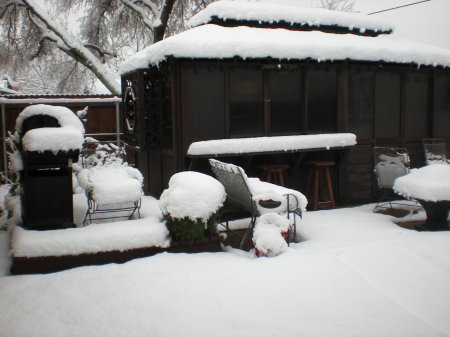 SNOWED IN BACKYARD FEB 10