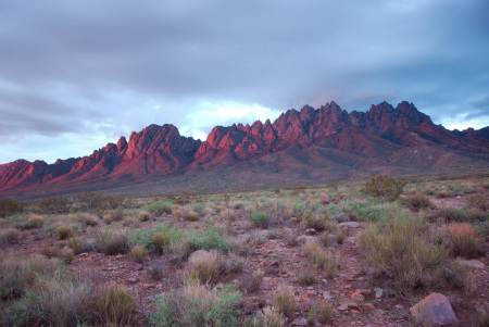 Organ Mountain